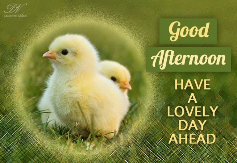 Good Afternoon Wishes