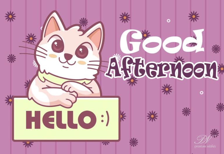 Good Afternoon Wishes
