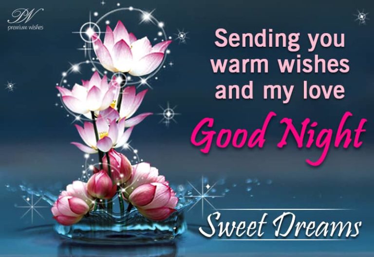 Good Night Wishes