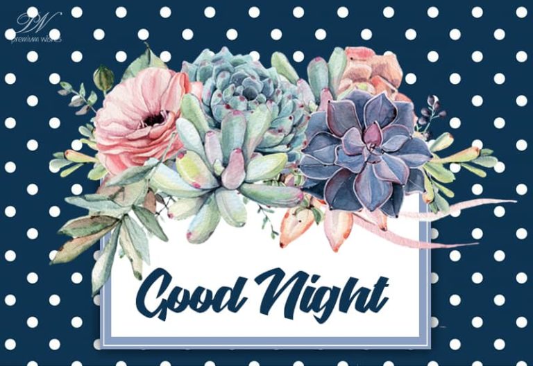 Good Night Wishes