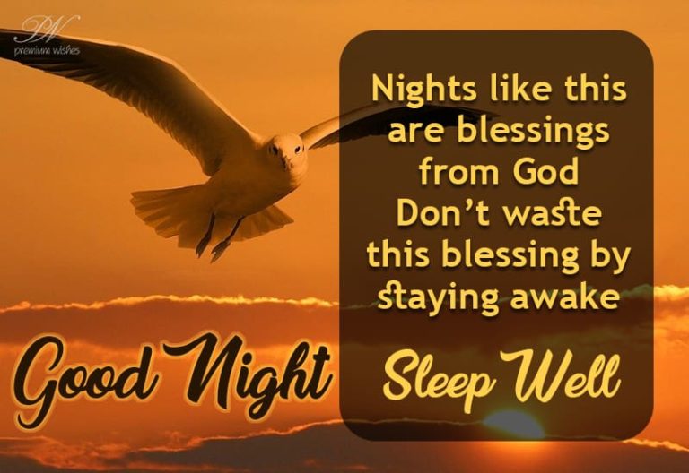 Good Night Wishes