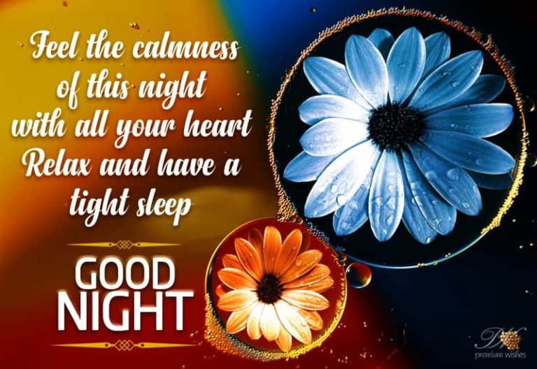 Good Night Wishes