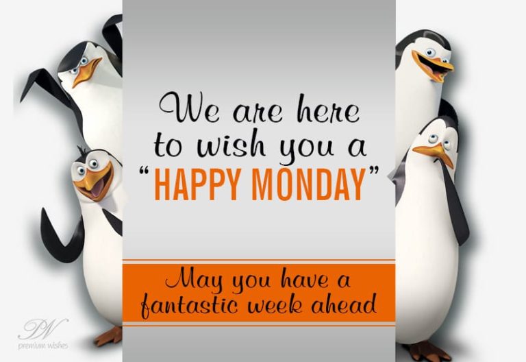 Happy Monday – May you have a fantastic week ahead!