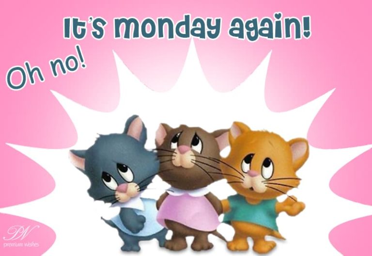 It’s Monday again It’s Monday again