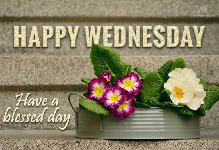 Happy Wednesday Everyone – Have a blessed day