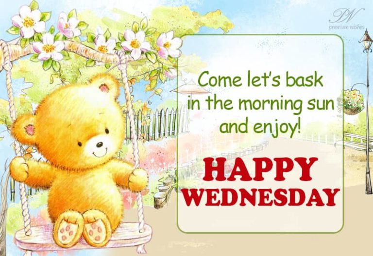 Bask in the morning sun – Happy Wednesday