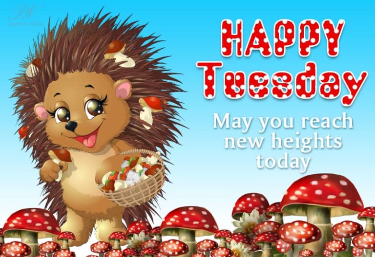 Happy Tuesday – May you reach new heights today