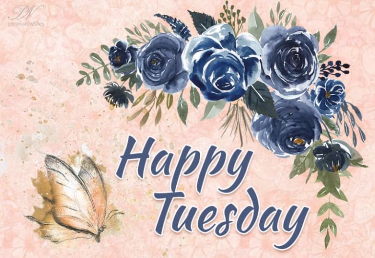 Happy Tuesday – May you have a wonderful day