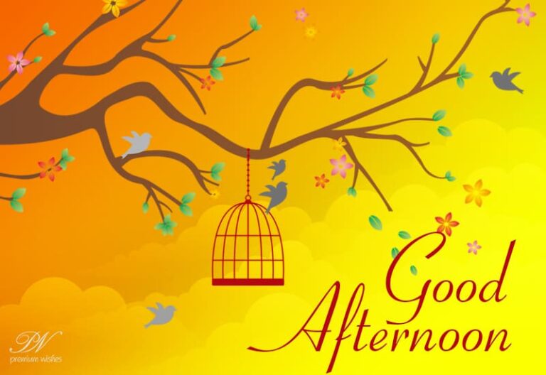 Good Afternoon Wishes