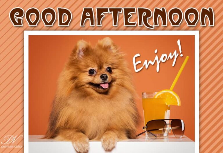 Good Afternoon Wishes
