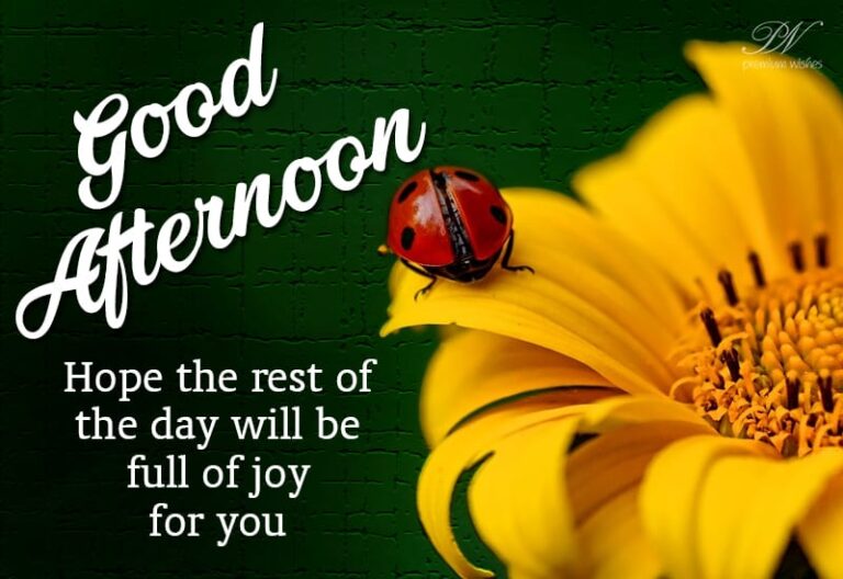 Good Afternoon Wishes