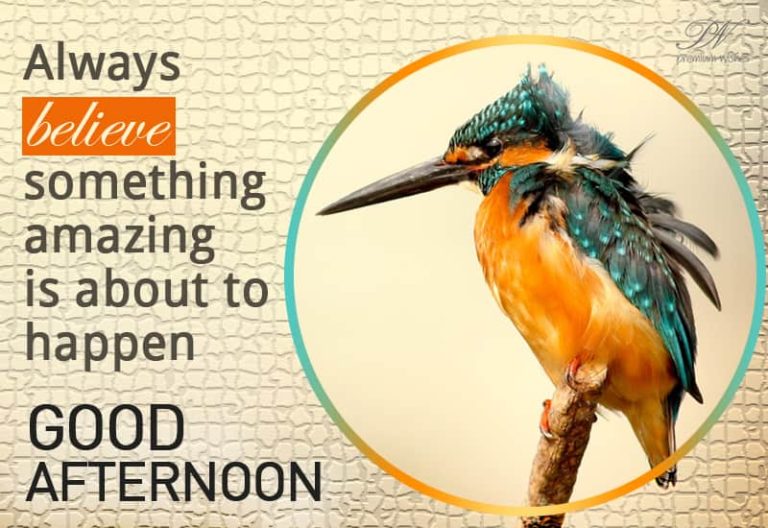 Good Afternoon Wishes