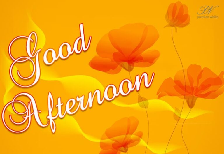 Good Afternoon Wishes