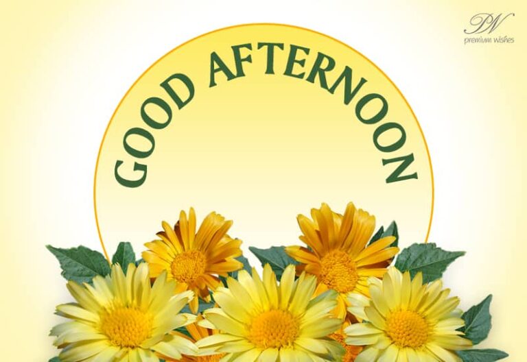 Good Afternoon Wishes