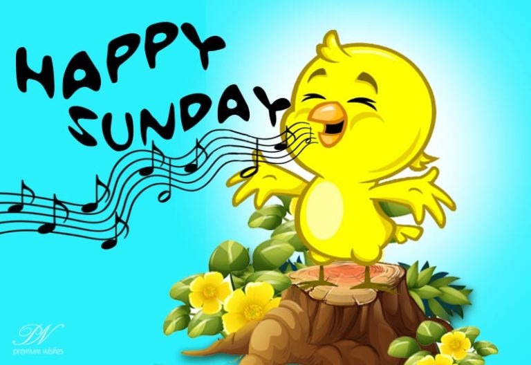 Happy Sunday – Have a relaxing day