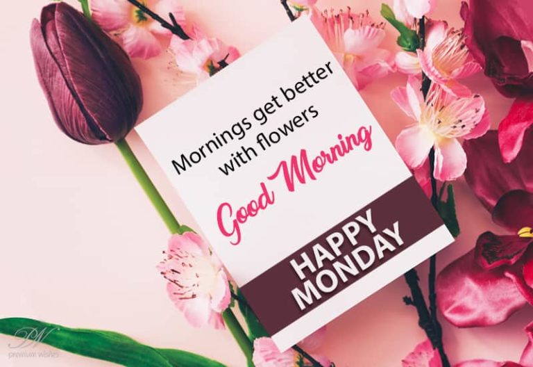 Good morning and Happy Monday