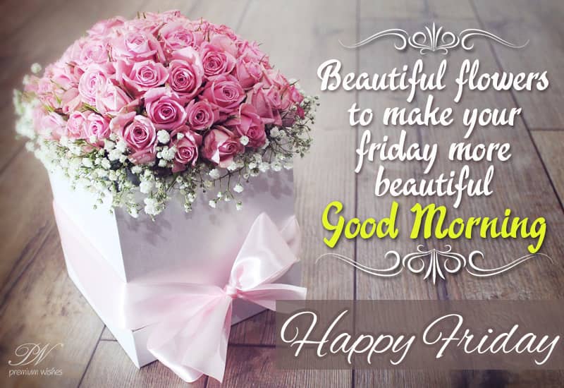 Happy Friday - Wishing You a Wonderful Start to the Weekend!