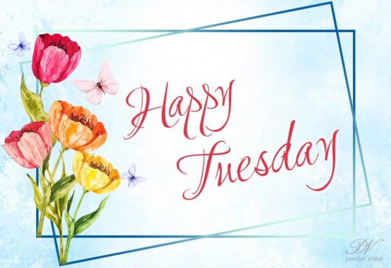 Happy Tuesday Everyone