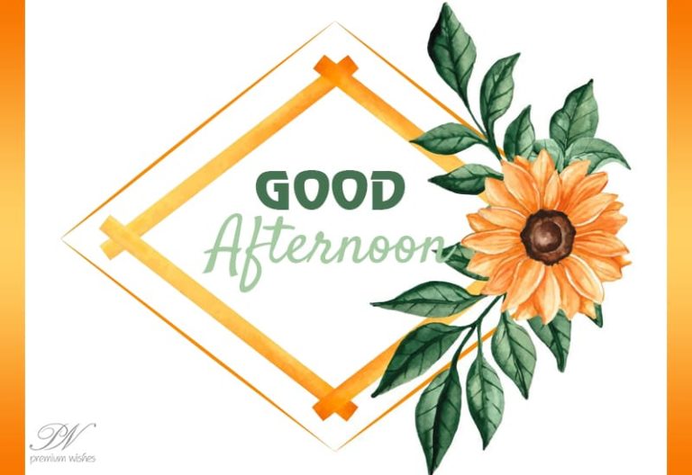 Good Afternoon Wishes