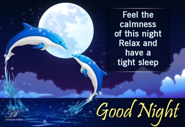 Good Night Wishes