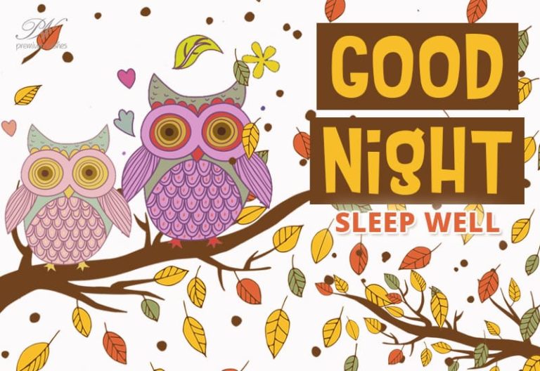 Good Night Wishes