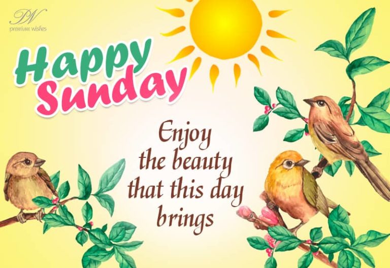 Happy Sunday – Enjoy the beauty that this day brings Happy Sunday – Enjoy the beauty that this day brings