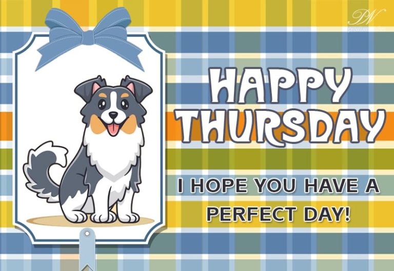 Happy Thursday – I hope you have a perfect day Happy Thursday – I hope you have a perfect day