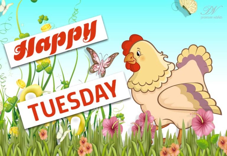 Happy Tuesday Morning Friends Happy Tuesday Morning Friends