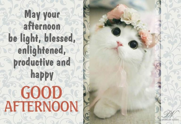 Good Afternoon Wishes