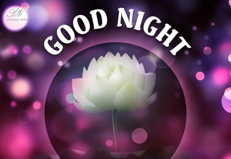 Good Night Wishes