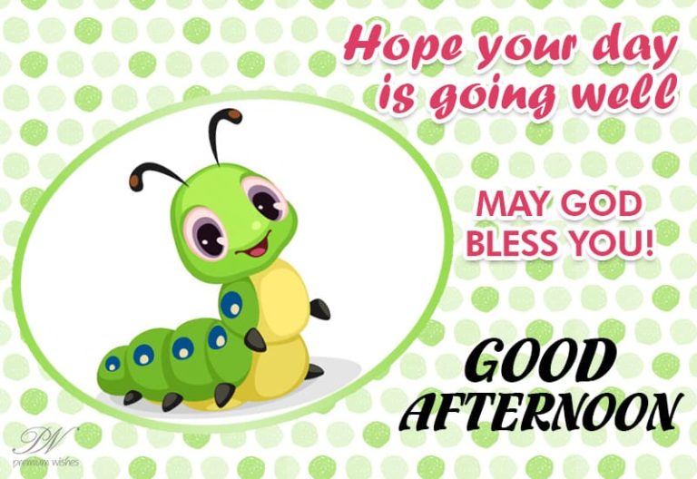 Good Afternoon Wishes