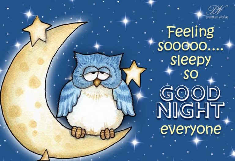 Good Night Wishes