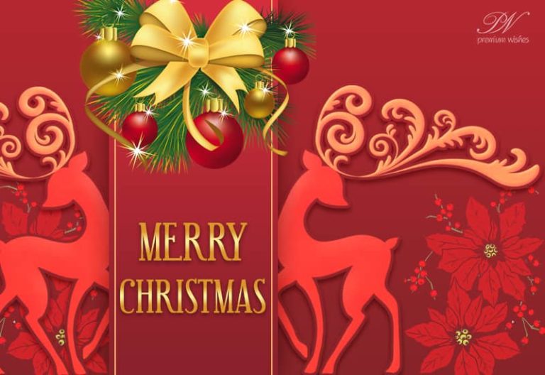 Wishing You Merry Christmas 2020 Wishing You Merry Christmas 2020