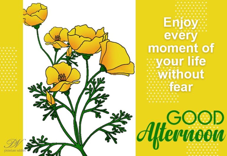 Good Afternoon Wishes