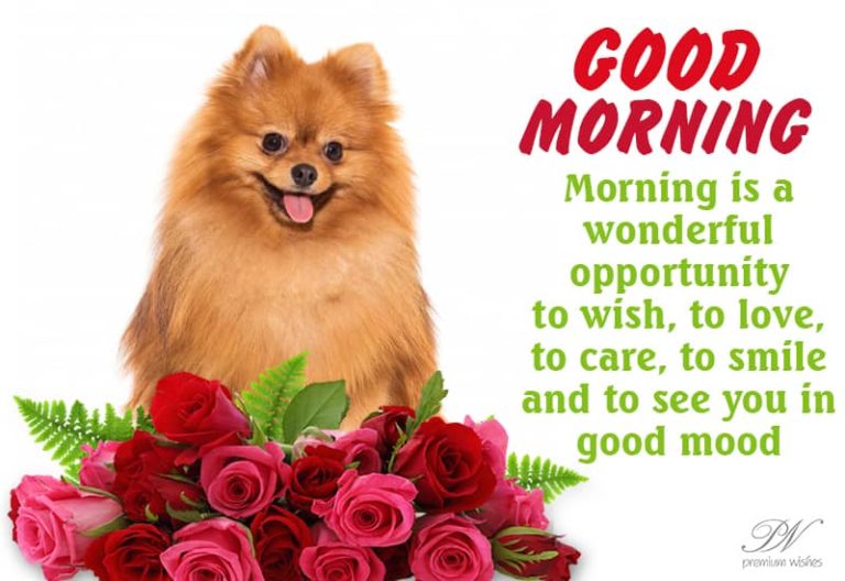 Good Morning – Morning is a wonderful opportunity