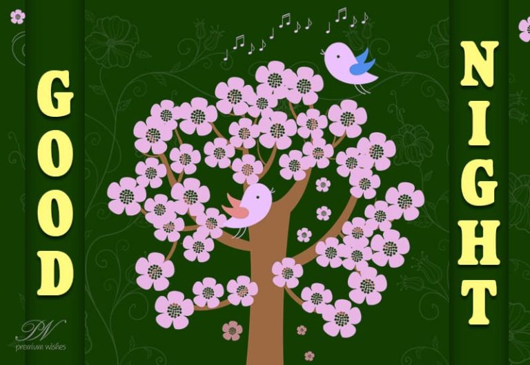 Good Night Wishes