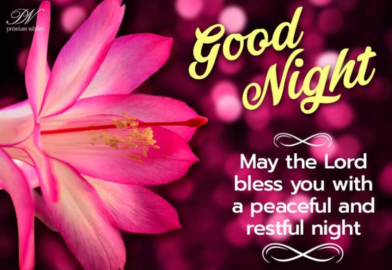 Good Night Wishes