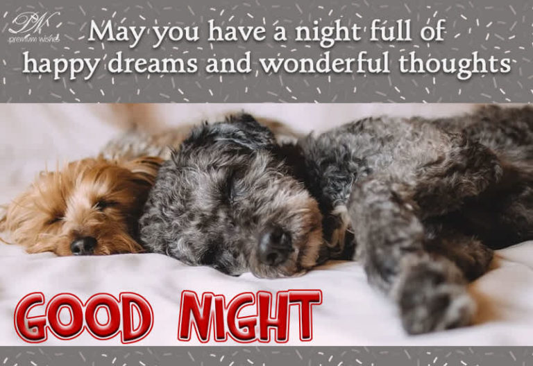 Good Night Wishes