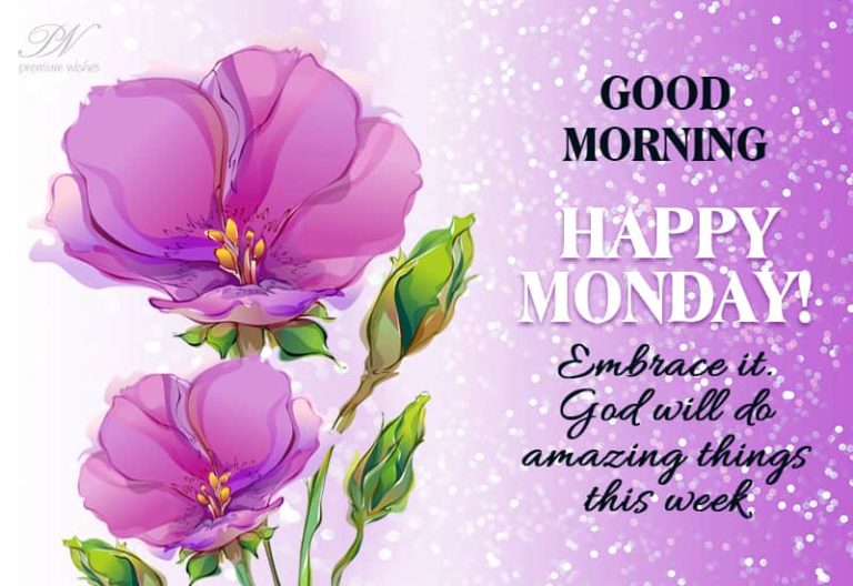 Good Morning – Happy Monday – Embrace It
