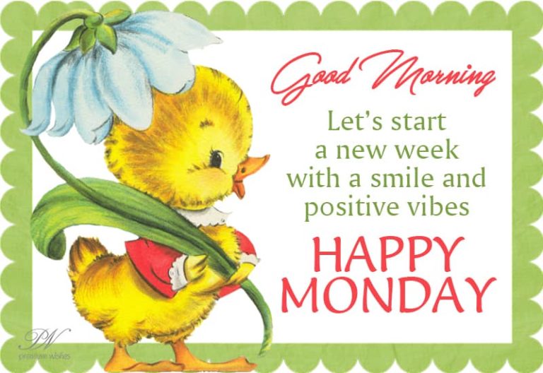 Good Morning – Happy Monday – Smile and Positive Vibes Good Morning – Happy Monday – Smile and Positive Vibes