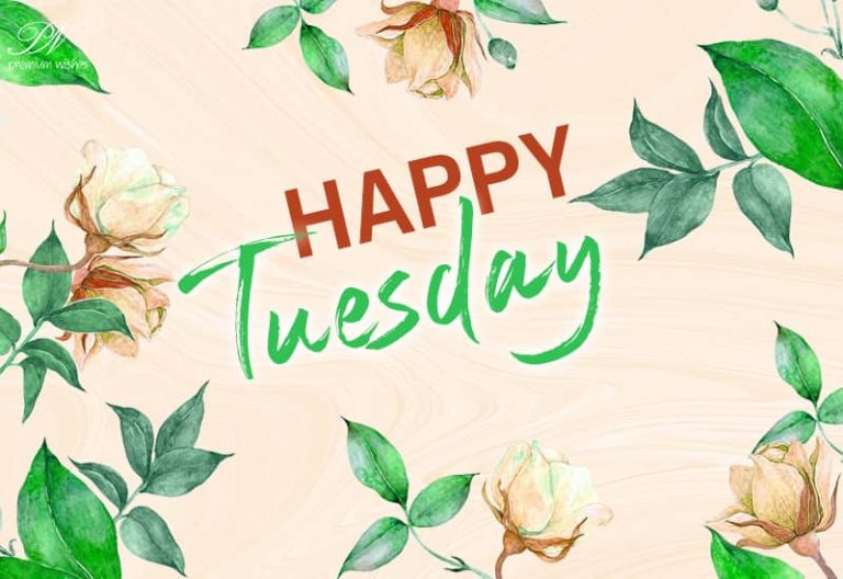 Happy Tuesday – Good Morning Friends Happy Tuesday – Good Morning Friends