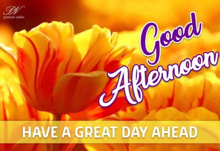 Good Afternoon Wishes