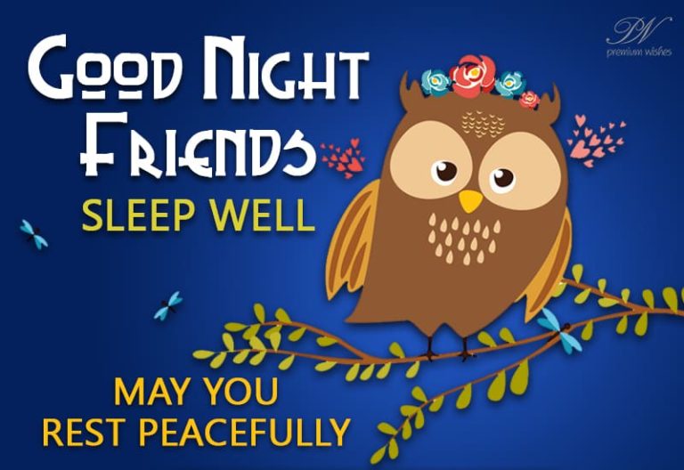 Good Night Wishes
