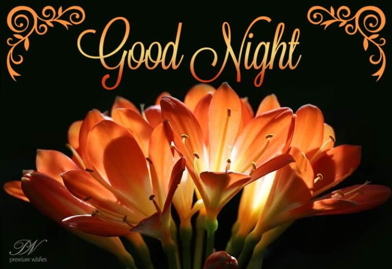 Good Night Wishes