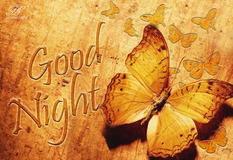Good Night Wishes