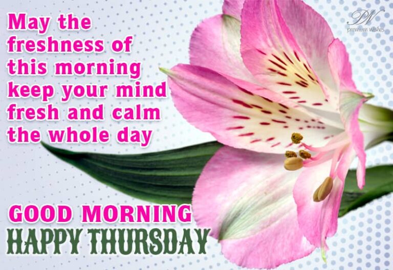 Good Morning – Happy Thursday – May The Freshness Of The Morning Keep Your Mind Fresh and Calm Good Morning – Happy Thursday – May The Freshness Of The Morning Keep Your Mind Fresh and Calm