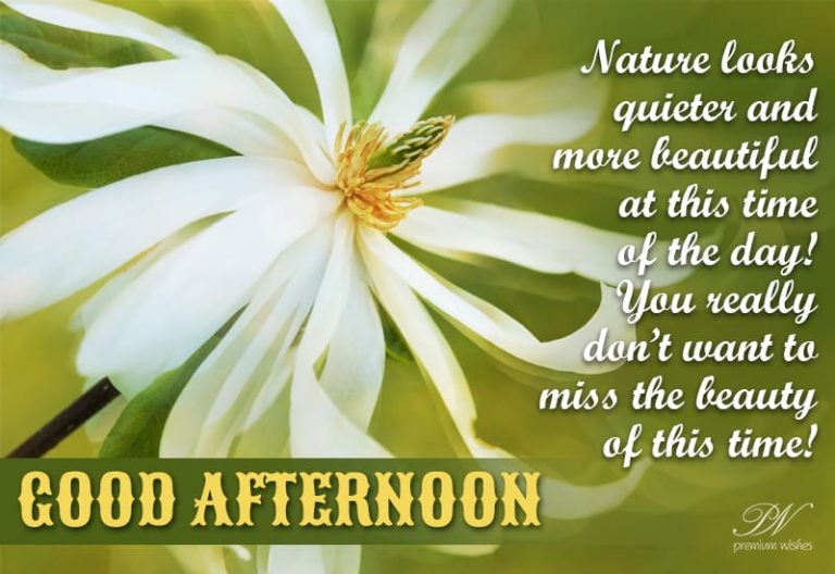 Good Afternoon Wishes