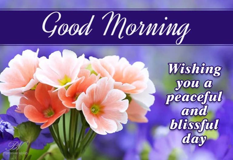 Good Morning – Peaceful and Blissful