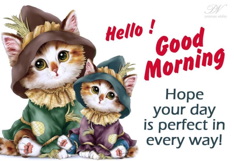 Good Morning – Hope your day is perfect in every way