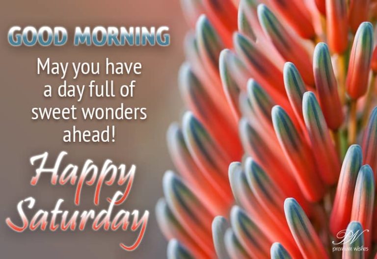 Happy Saturday – Wishing you a day full of sweet wonders – Good Morning Happy Saturday – Wishing you a day full of sweet wonders – Good Morning